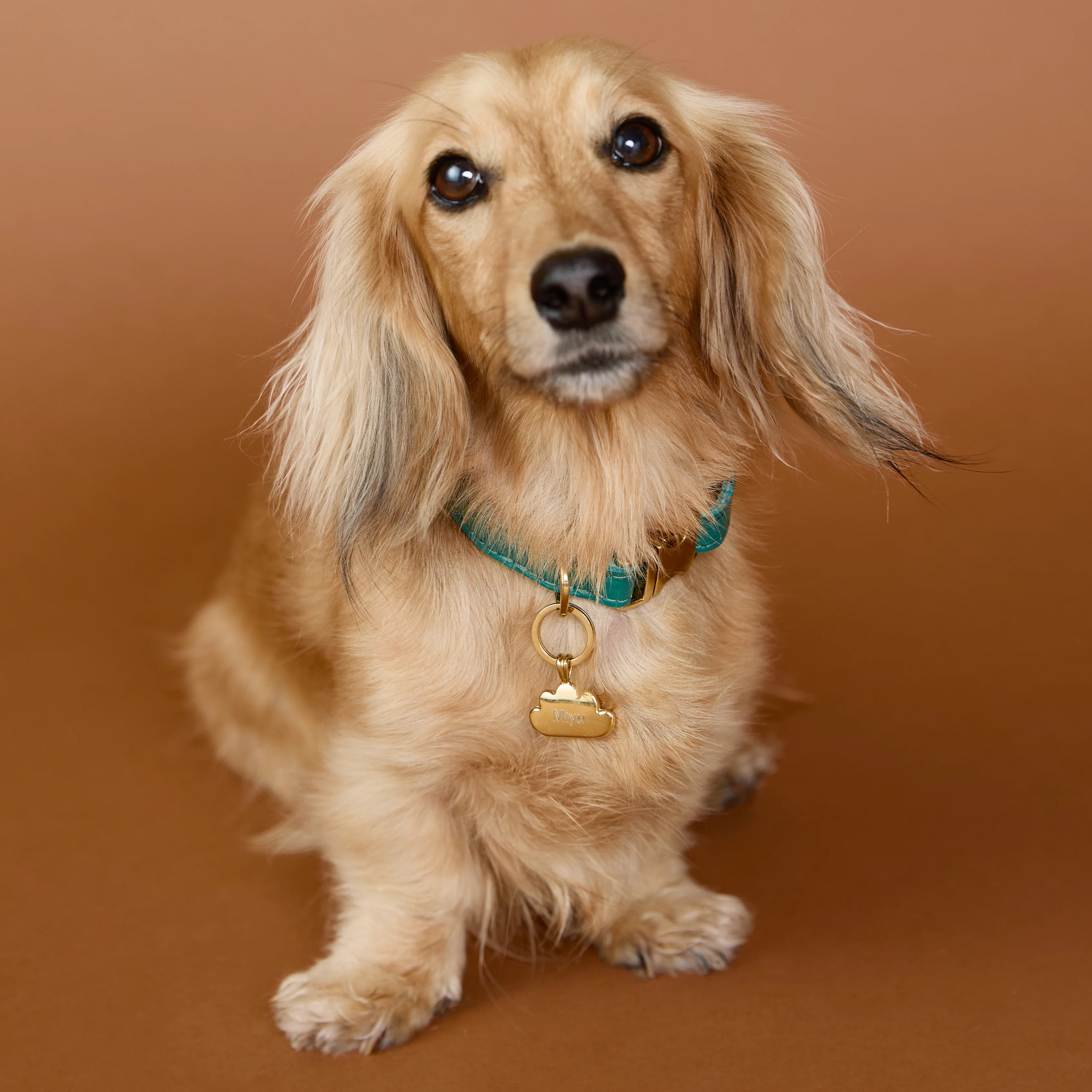 Cloud Pet Tag in Gold - Image 3