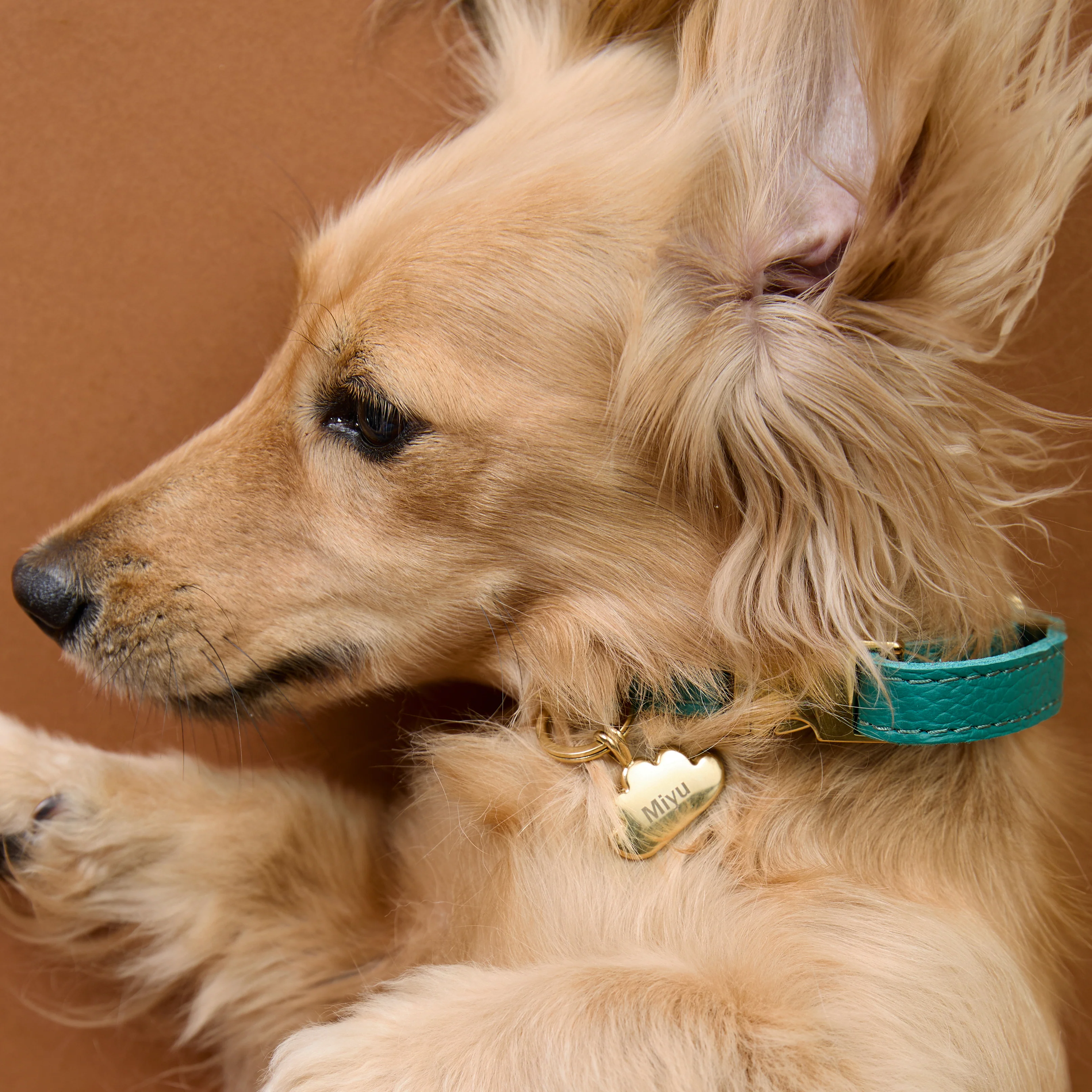 Cloud Pet Tag in Gold - Image 5