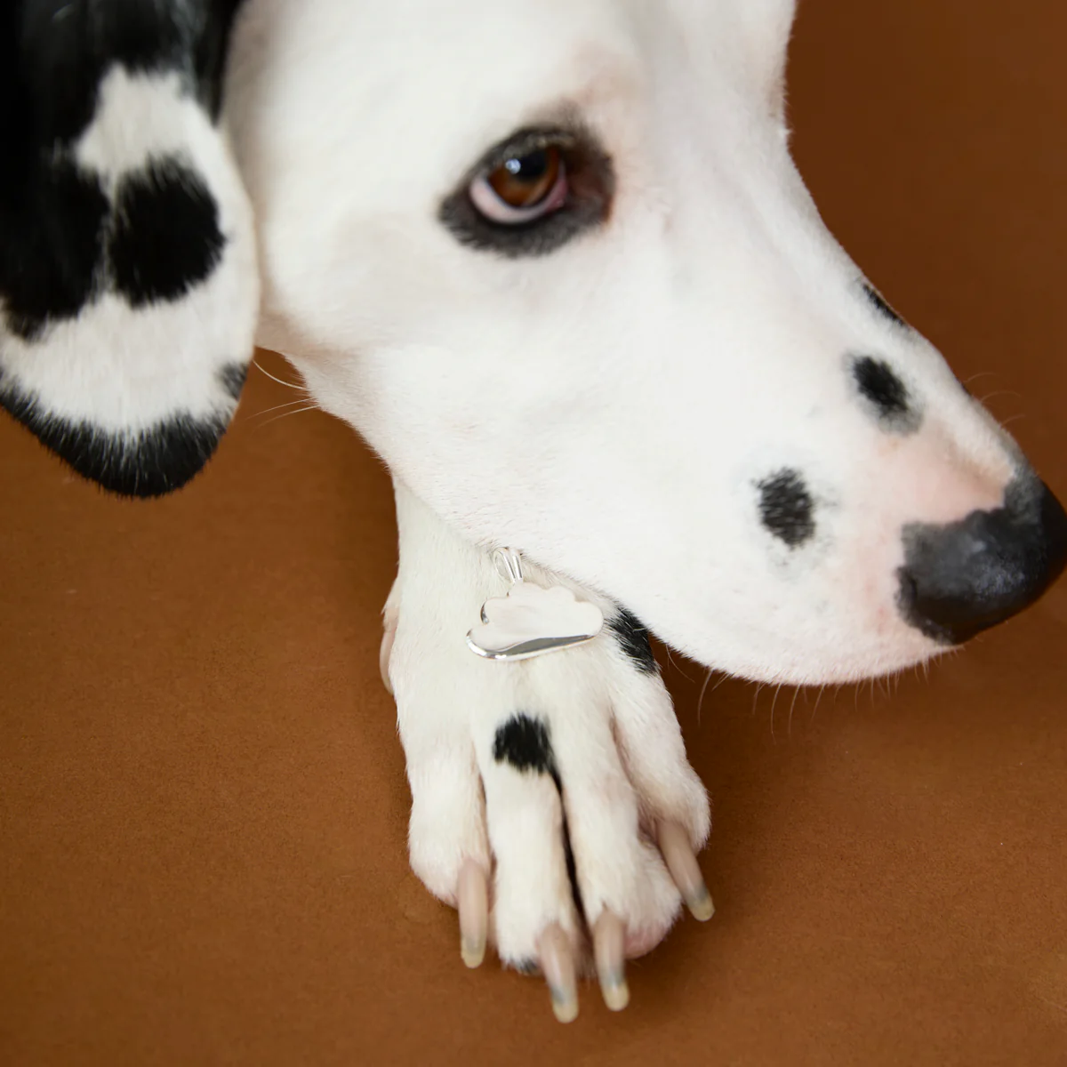 Cloud Pet Tag in Silver - Image 5