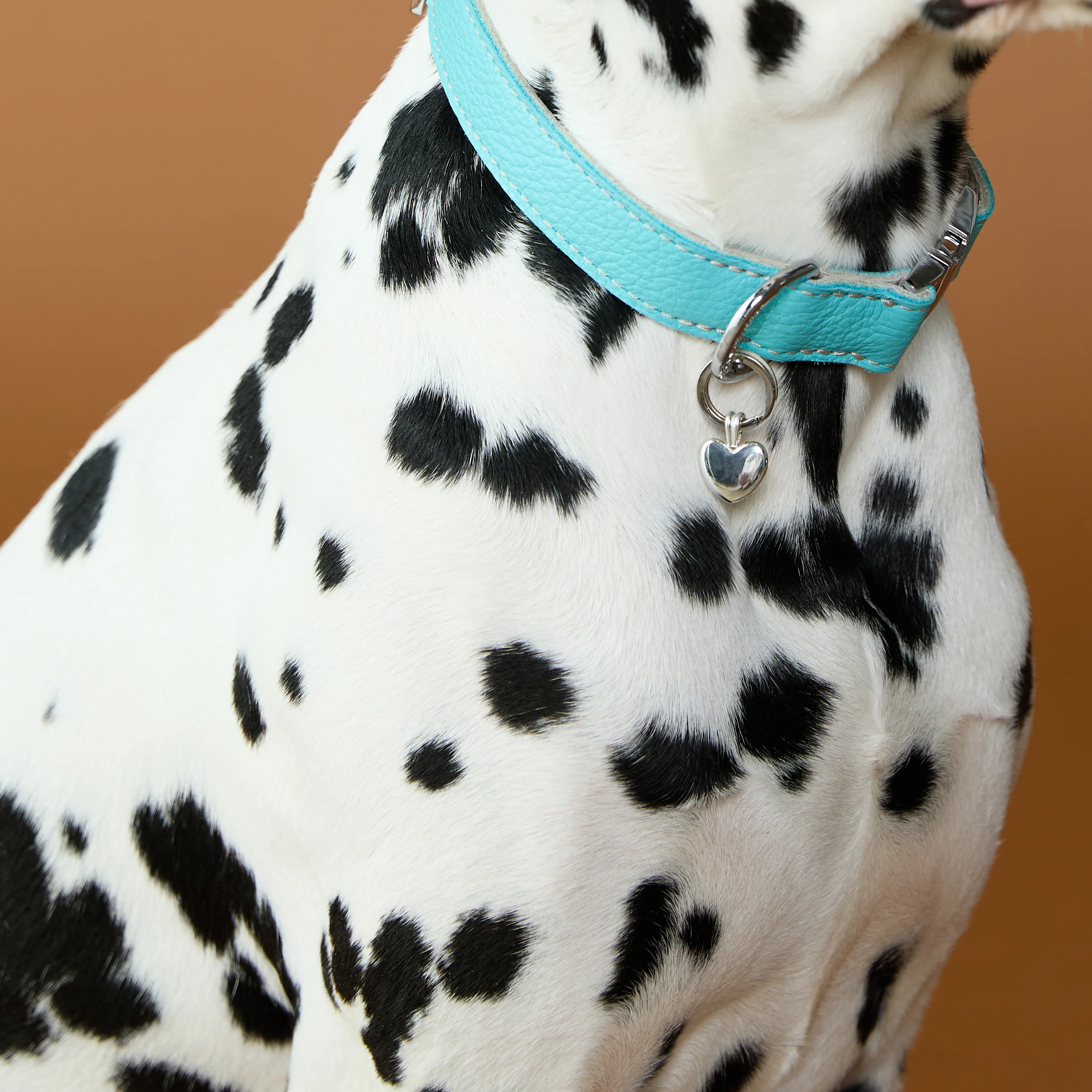Heart Pet Tag in Silver - Image 5