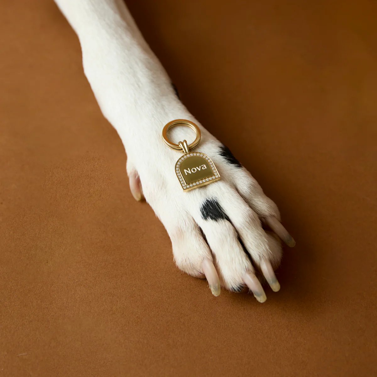 Pavé Arch Pet Tag in Gold - Image 4