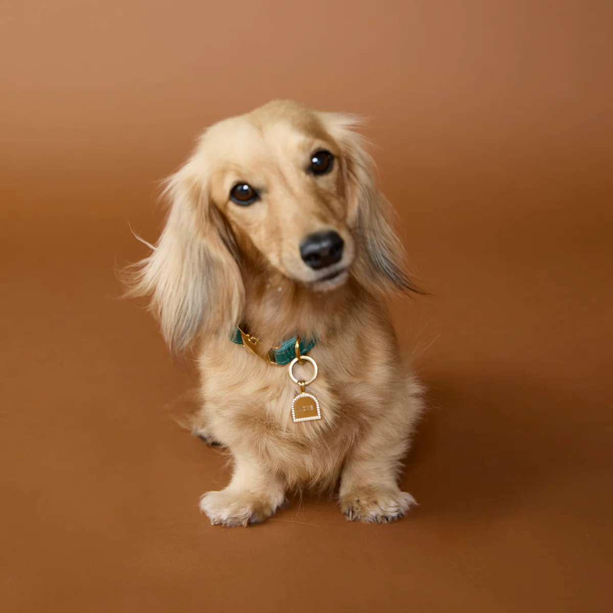 Pavé Arch Pet Tag in Gold - Image 5